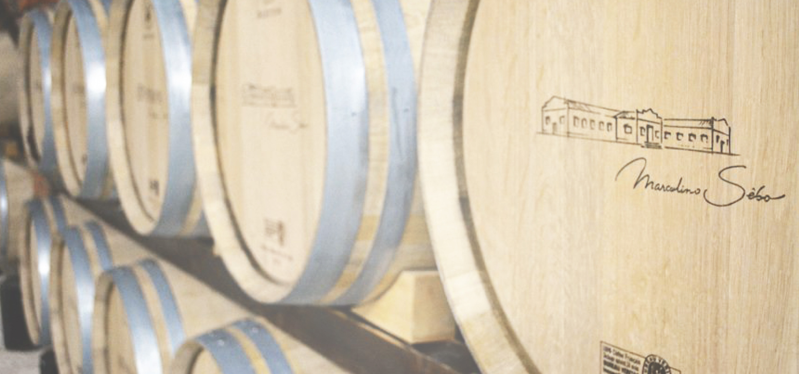 Vinhos com Alma, feitos em Família